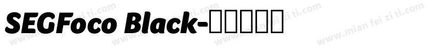 SEGFoco Black字体转换